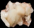 Peach Stilbite Crystal Cluster - India #44299-2